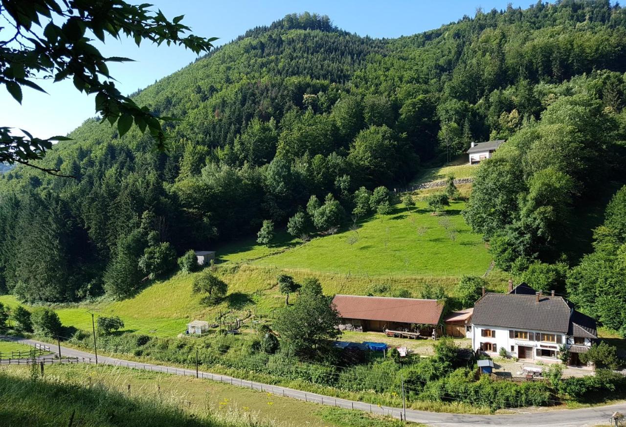 Gite Le Creux Chene Rombach-le-Franc Exteriör bild