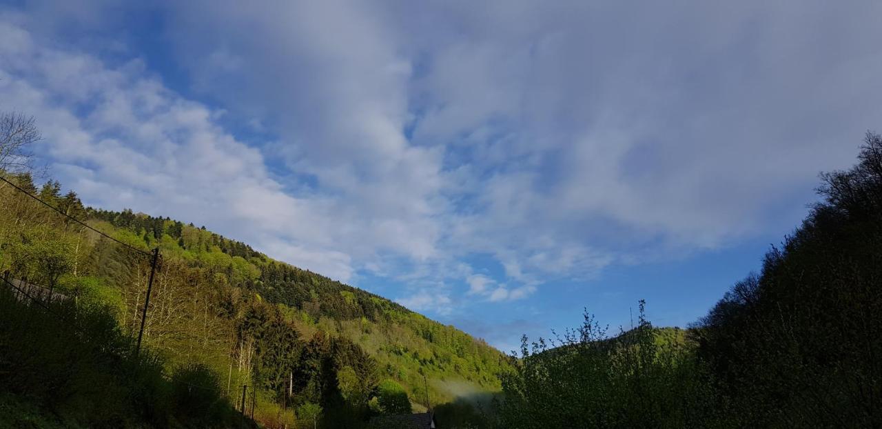 Gite Le Creux Chene Rombach-le-Franc Exteriör bild