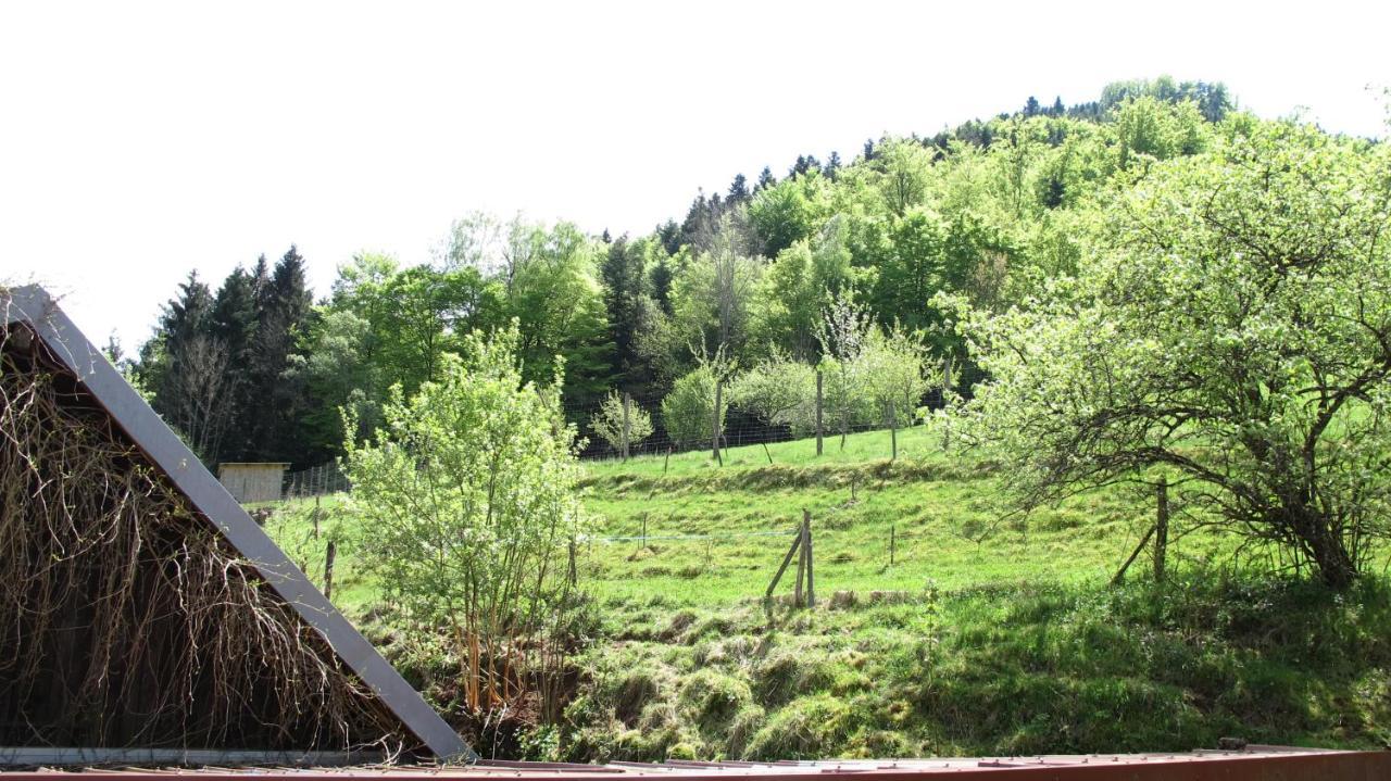Gite Le Creux Chene Rombach-le-Franc Exteriör bild
